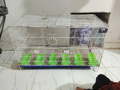 3 Portion cage for parrots