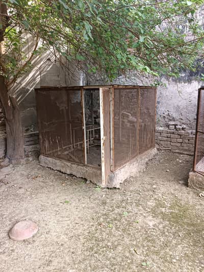 Big cage, all perfect, fiber roof