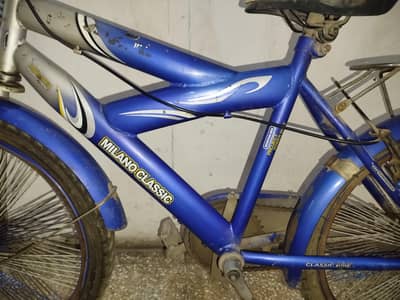 milano classic cycle