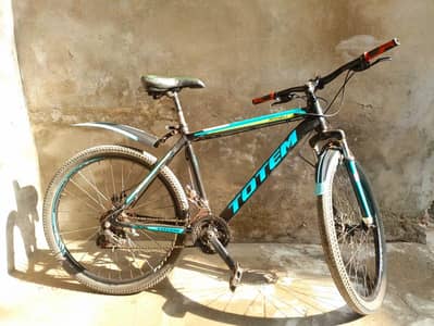 Aluminum TOTEM bicycle 0309 7194294