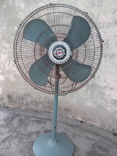 pedistal fan for sale