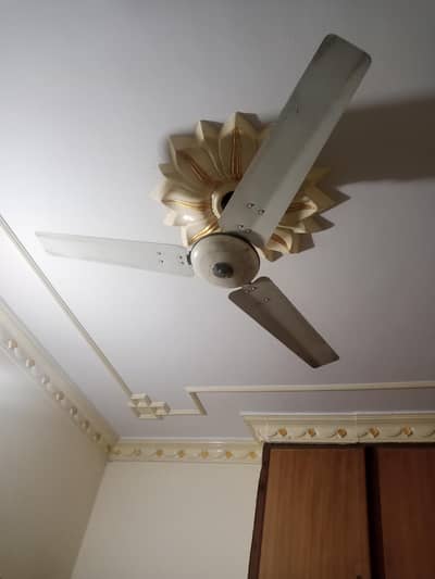 3 ceiling fans