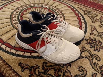 Ihsan cricket shoes hard ball