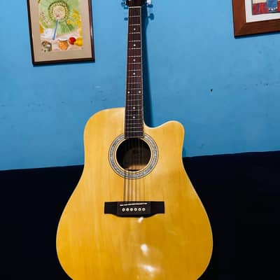 Professional Semi Acoustic Guitar Sale