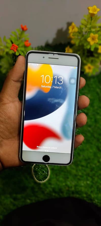 iphone 7 plus pta approved