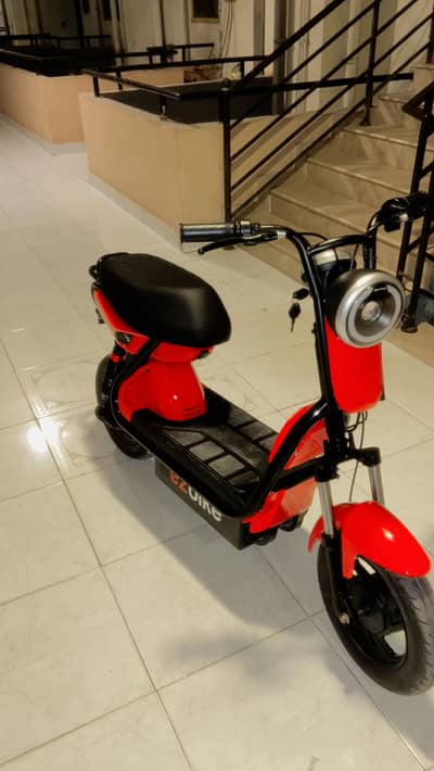 Ez electric bike