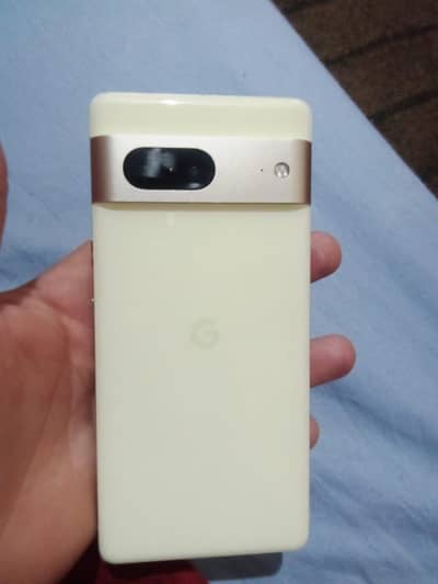 google pixel 7