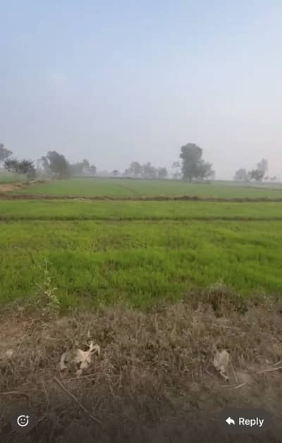 5 Acres Agricultural Land for Sale, Moza Jaman, Bedian Road, Lahore
