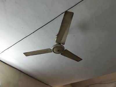 fans for sale company super asia