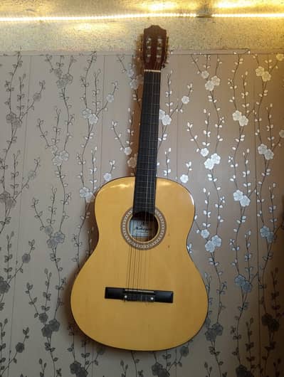 Acoustic guitar