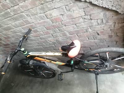 BEGOOD cycle 03234146819