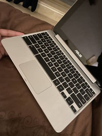 Asus chromebook