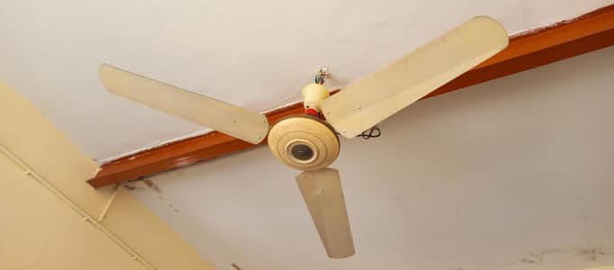 fan urgent sale pure coppier condition 9/10 pure coppier ma ha