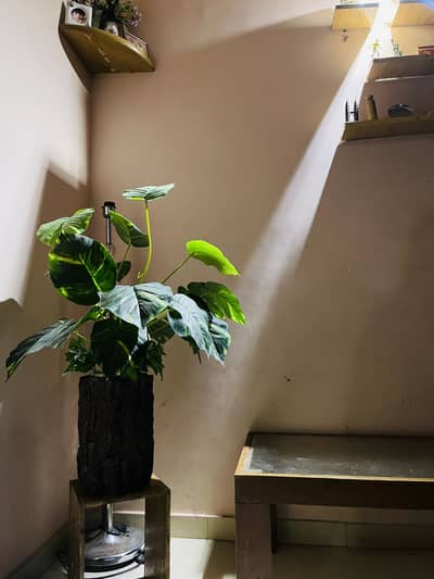 Artificial plants in wooden design