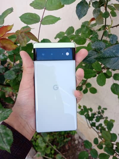 Google Pixel 6 official approved