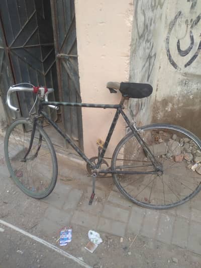 olympic cycle for sale