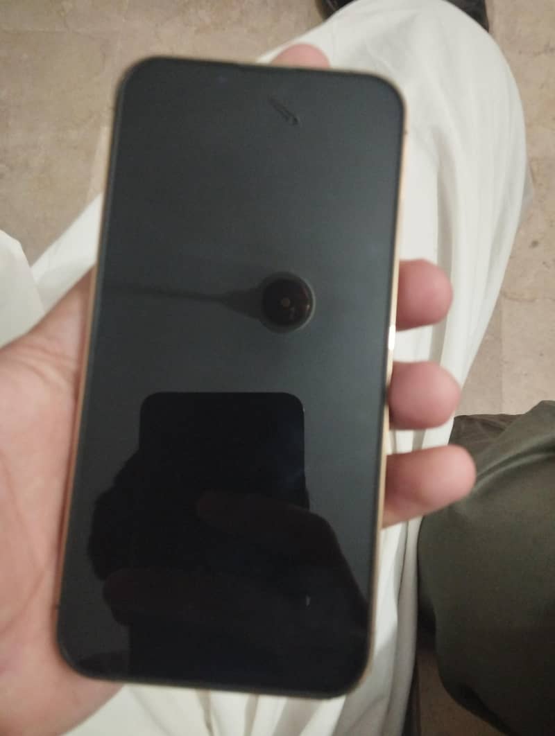 iPhone 13 pro 0