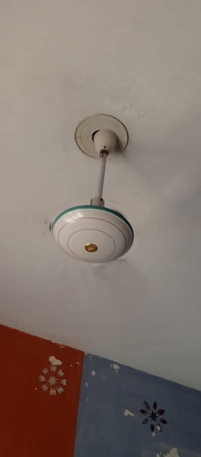 Fan for seal in working condition