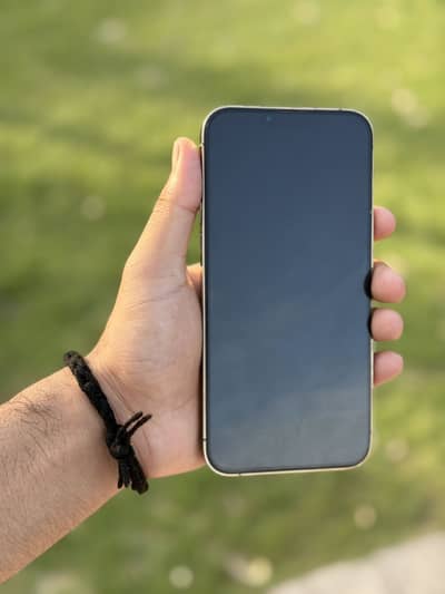 13 Pro Max Dual PTA Approved