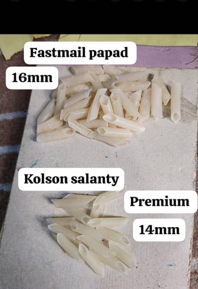 salanty papad ,fastmail papad