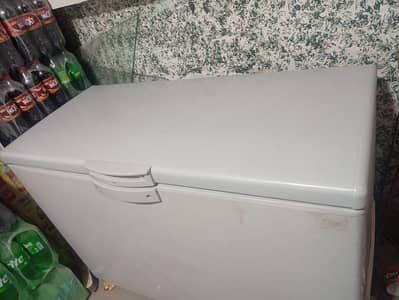 Pel deep freezer single door