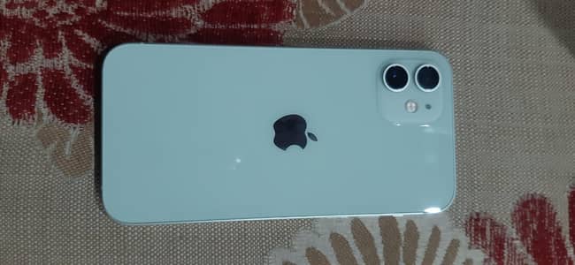 I phone 12 pta approved