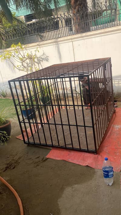 Iron cage for dogs on sell