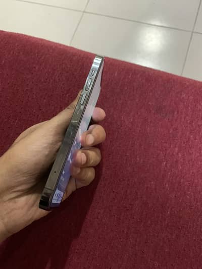 12pro dual pta approve 256 GB