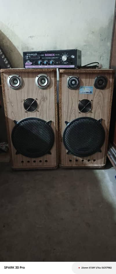 12 inch Japani speaker
