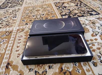 iphone 12 pro max line In panel