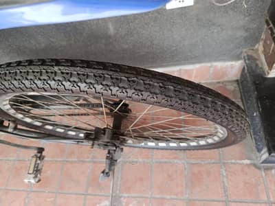 Morgan cycle 2024 model