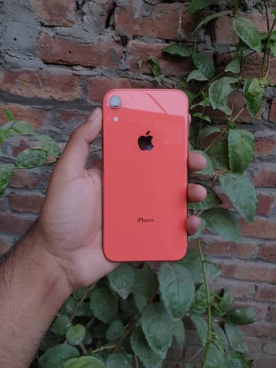 iphone XR (64GB)