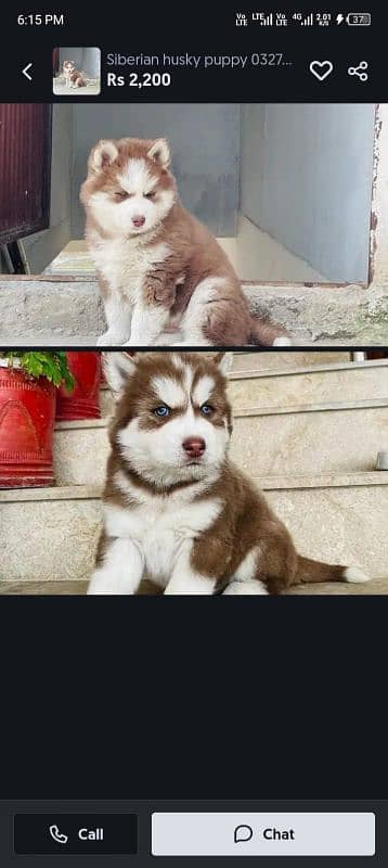 salary NAS ki pappi 03278751372 Whatsapp no