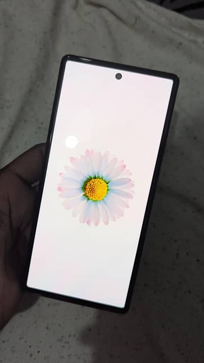 Google Pixel 6 brand new condition