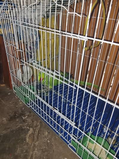 rose ringnet with iron cage