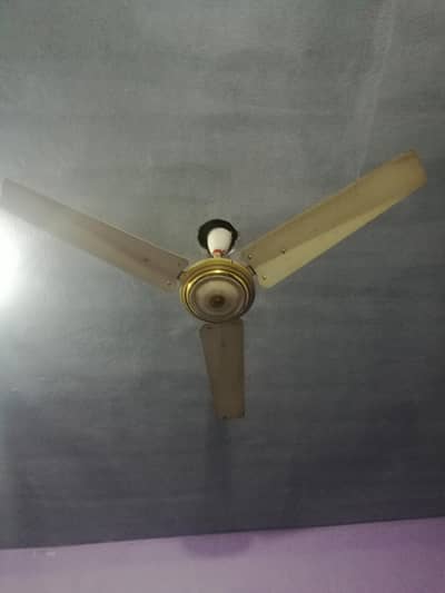 ceiling fan 56inch  for sale