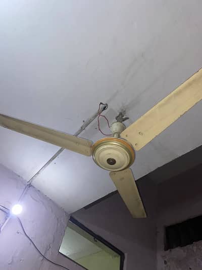 Ceiling Fan