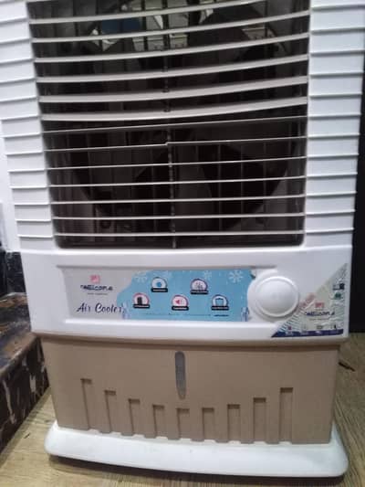 collor good condition