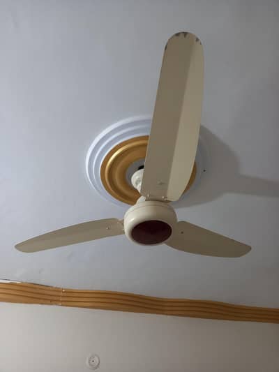 Ceiling Fan