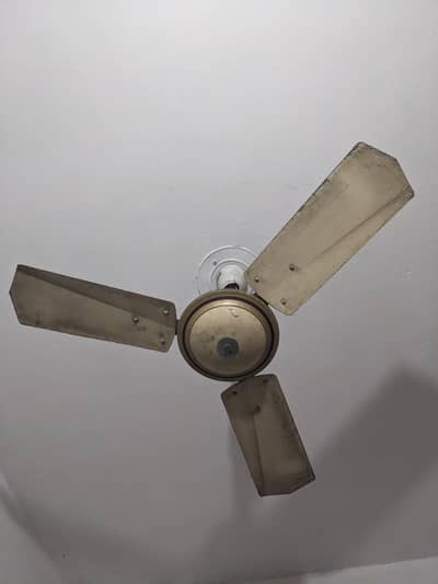 2 Fan 36 ka For sale