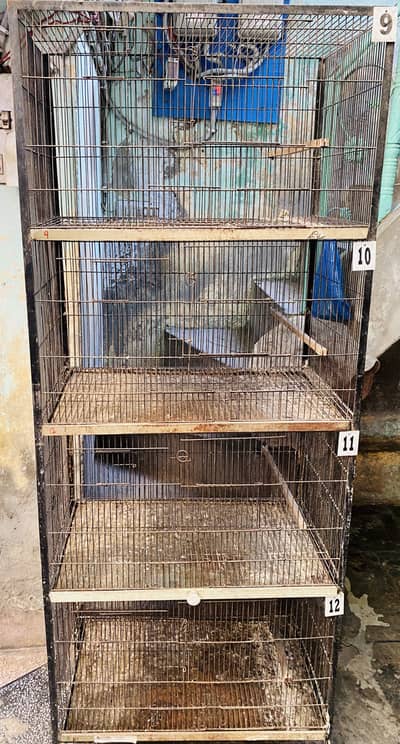 Cage 4 portions