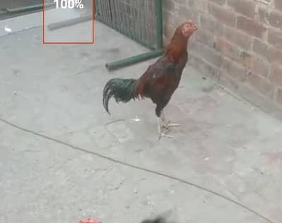 barmi hint  pair 03227509403