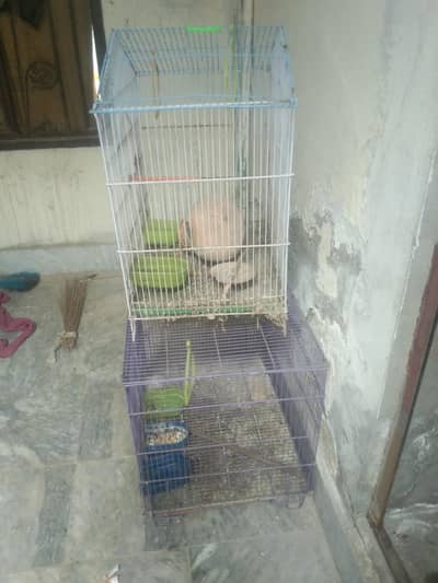 cage for sale