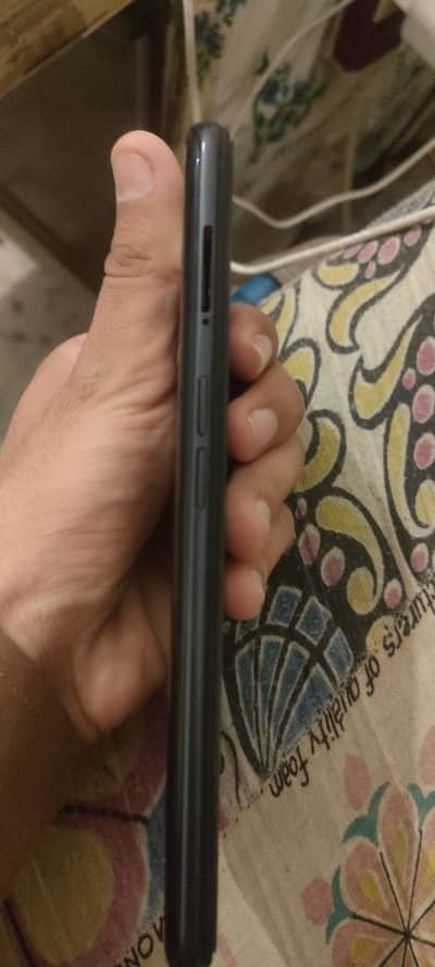 only whatapp 03131290536