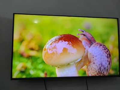 home use Hisense 50 inch led  Multan road Lahore chung