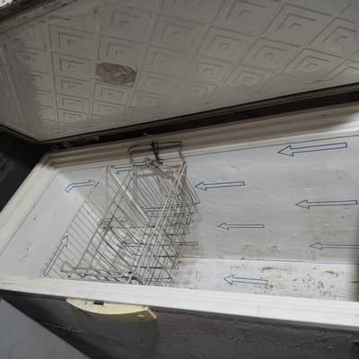 ڈی فریزر ویوز کمپنی ٹوٹل جینین