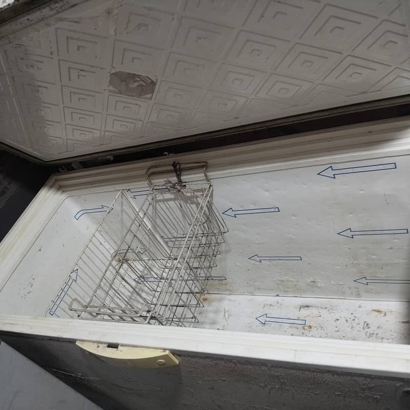 ڈی فریزر ویوز کمپنی ٹوٹل جینین 0