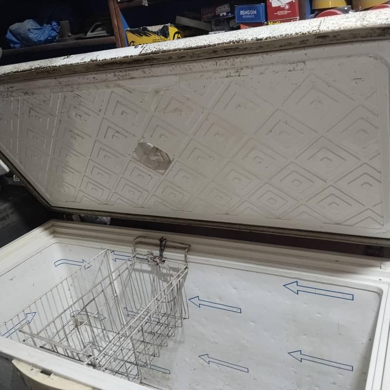 ڈی فریزر ویوز کمپنی ٹوٹل جینین 1