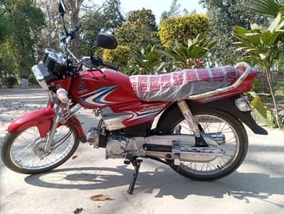 Whatsapp 03107033149