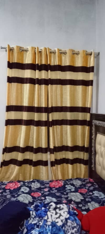 5 new design curtain